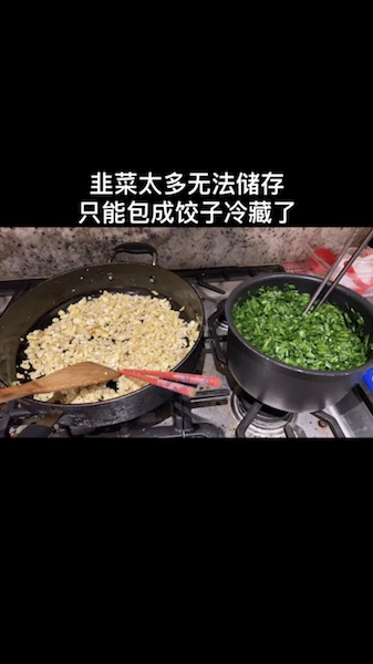 韭菜储存最好是包成饺子冻起来