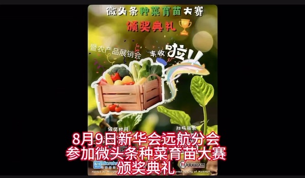 远航参加微头条种菜育苗大赛颁奖典礼剪辑