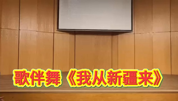“多伦多水立方新华会专场音乐会”